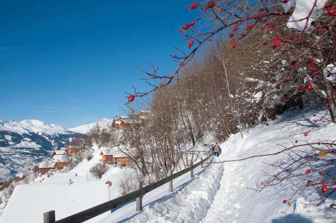 Greppons Cosy & Mountain Apartments By Alpvision Residences Veysonnaz Luaran gambar