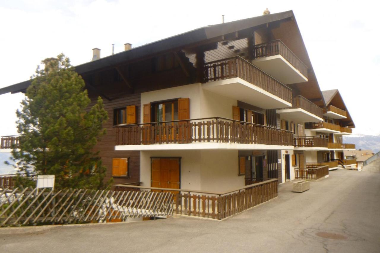 Greppons Cosy & Mountain Apartments By Alpvision Residences Veysonnaz Luaran gambar