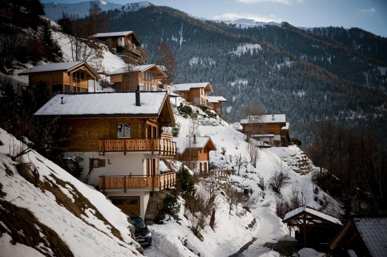 Greppons Cosy & Mountain Apartments By Alpvision Residences Veysonnaz Luaran gambar
