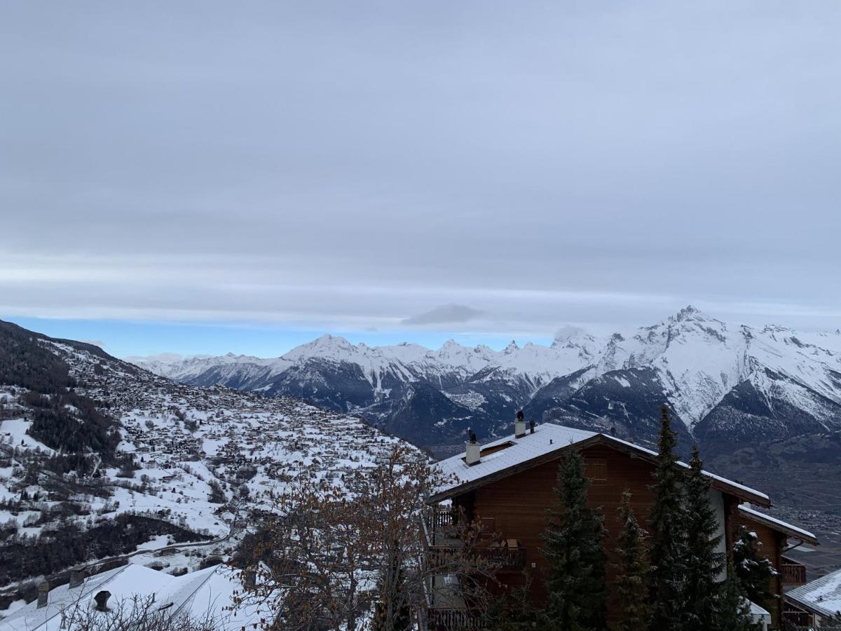 Greppons Cosy & Mountain Apartments By Alpvision Residences Veysonnaz Luaran gambar